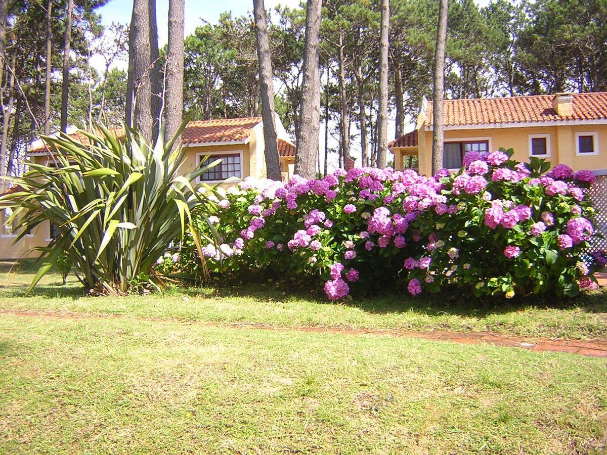 Aparthotel Pino Dorado Manantiales Esterno foto